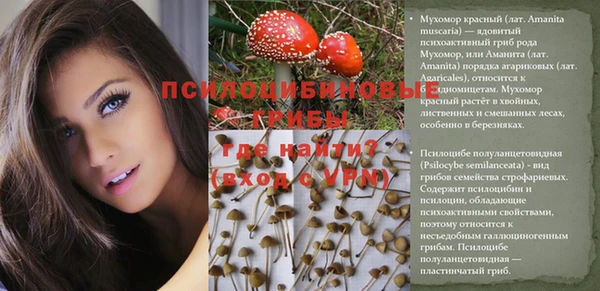спиды Алзамай