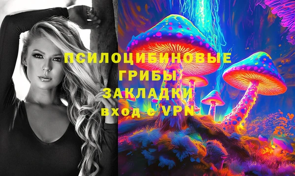 спиды Алзамай