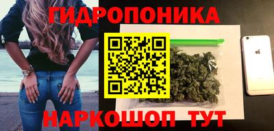 дурь Гусев