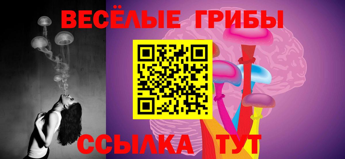 Псилоцибиновые грибы Cubensis  Вход с VPN  Галлюциногенные грибы Magic Shrooms  Карачаевск 